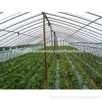 Biodegradable Film, EN13432, 2,000-6,000m Length